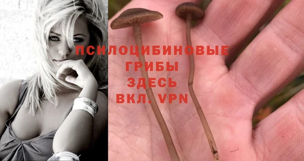 крисы Навашино