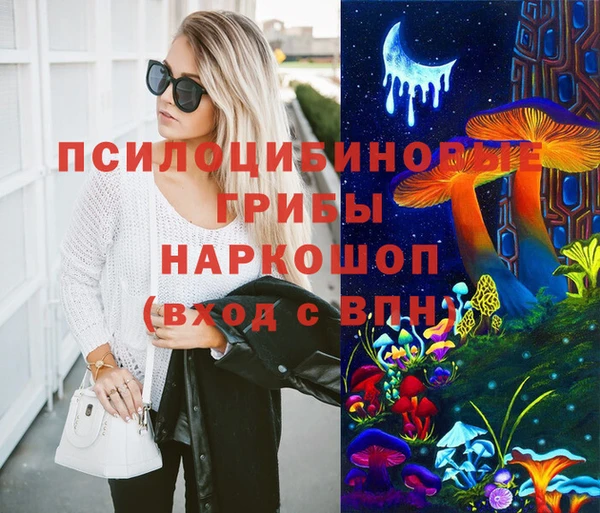 крисы Наволоки