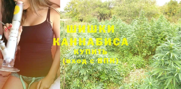 крисы Наволоки