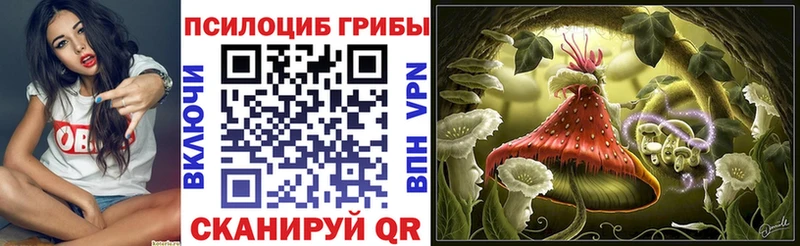 Купить закладки  Игарка  Галлюциногенные грибы GOLDEN TEACHER 